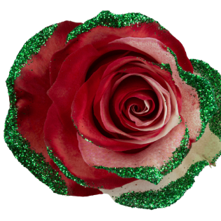 Mother's Love Green Frosty